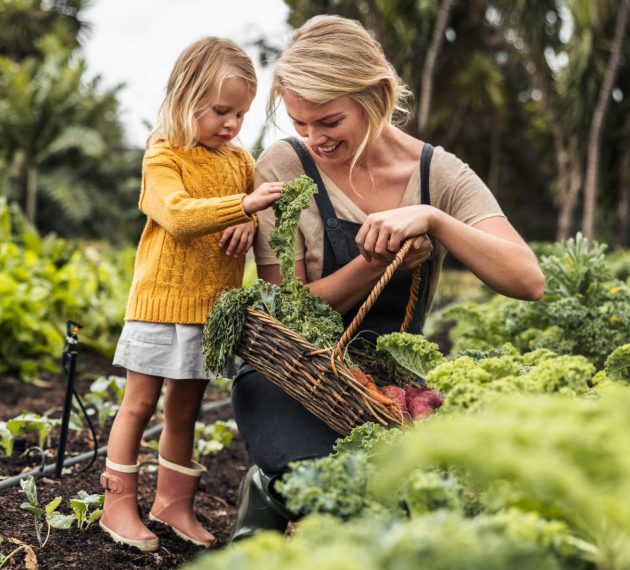 drop off laundry service near me