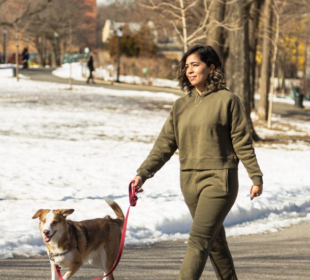 how does dry cleaning work